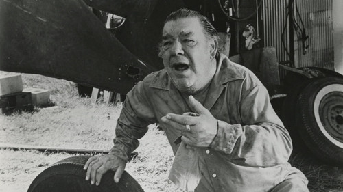 Fireball Jungle Bild 2