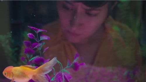 A Disagreement About Flies Bild 1