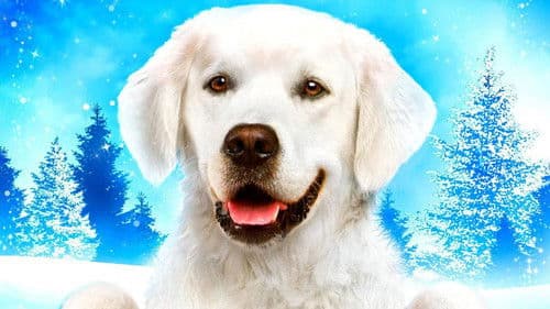 Adventures of Bailey: Christmas Hero Bild 2