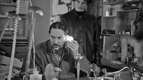 Electric Fields Bild 1