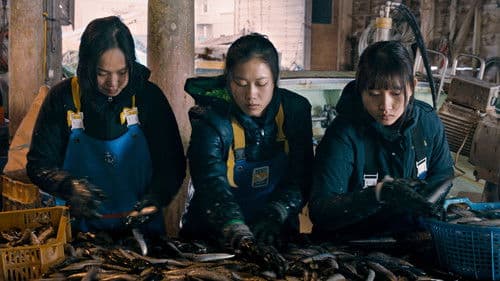 海辺の彼女たち Bild 1