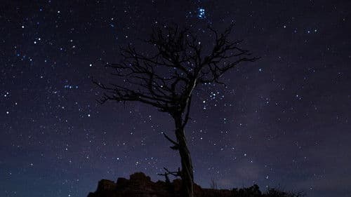 States of America Bild 2