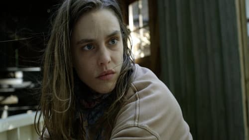 Im Nachtlicht Bild 2