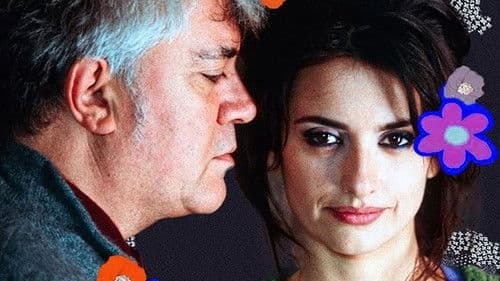 Almodóvar, l'insolent de la Mancha Bild 2