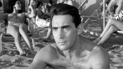 Der Donnerstag Bild 3