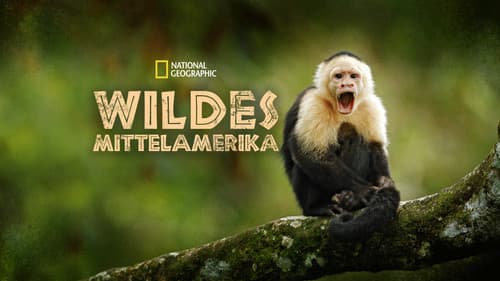 Wildes Mittelamerika Bild 6