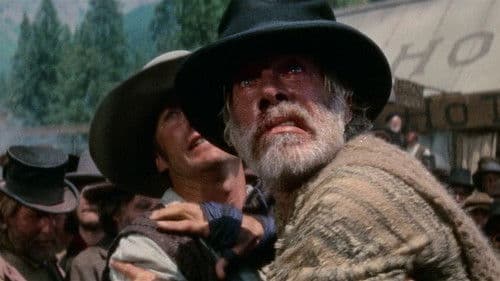 Westwärts zieht der Wind Bild 3