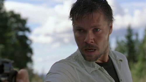 Cry in the Woods Bild 1