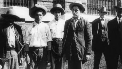 Ammunition Smuggling on the Mexican Border Bild 1