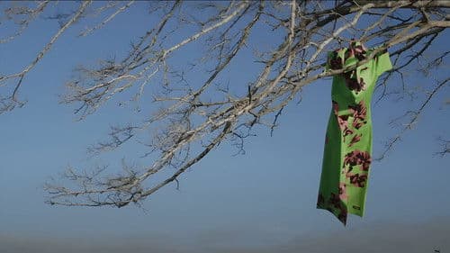 El Affaire Miu Miu Bild 4