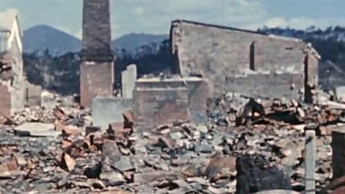 If You Love This Planet Bild 2