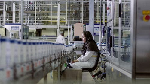 Ballade von der weißen Kuh Bild 4