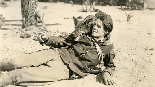 Clash of the Wolves Bild 1