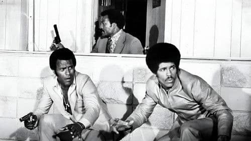 Drei eiskalte Profis Bild 2