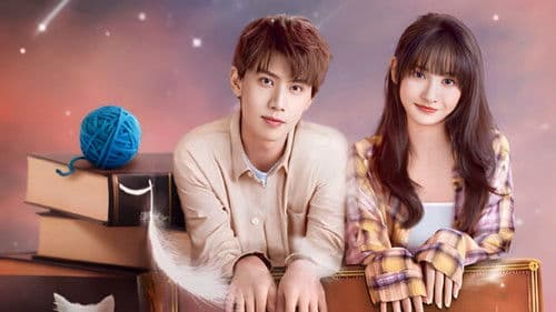 喵，请许愿 Bild 3