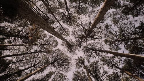 Nós Montanha Bild 1