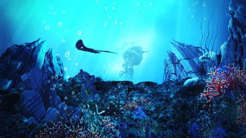 Fishtales - Fakten über Meerestiere Bild 4