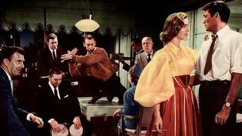 Warum hab’ ich ja gesagt? Bild 2