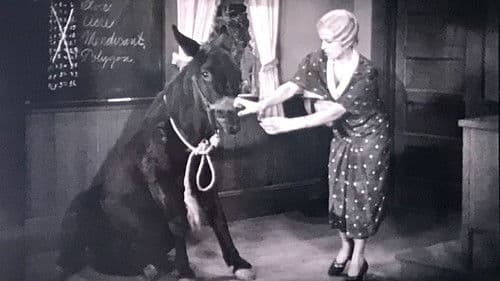 Der erste Schultag Bild 1