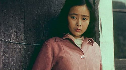 清水湾，淡水湾 Bild 1