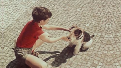 Punťa a čtyřlístek Bild 1