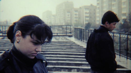 Где твой дом, улитка? Bild 6