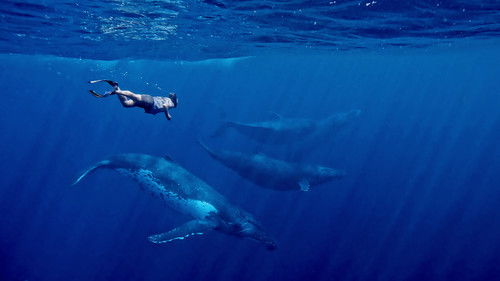 극장판 고래와 나 Bild 2