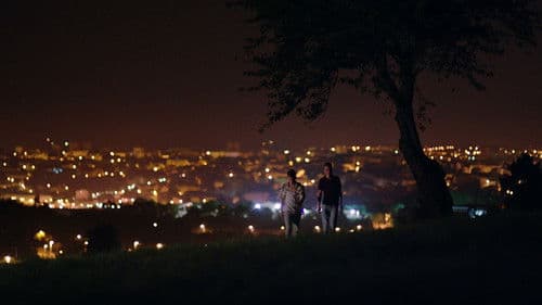 Eine Nacht in den Feldern Bild 5