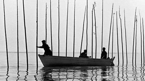 Pour la suite du monde Bild 1