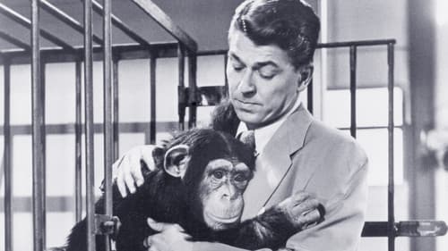 Bedtime for Bonzo Bild 3