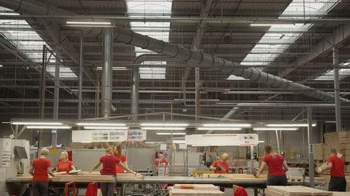 Wie IKEA den Planeten plündert Bild 3