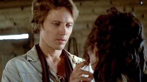 Shoot the Sun Down Bild 1