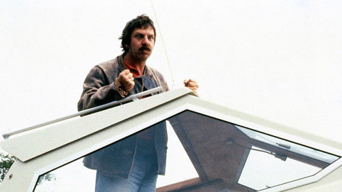 Wer gewinnt das Rennen? Bild 1