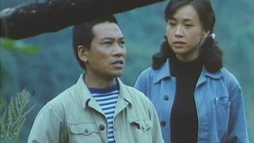 老板哥和电妹子 Bild 1