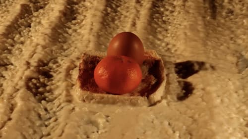 28 Eggs Later Bild 7