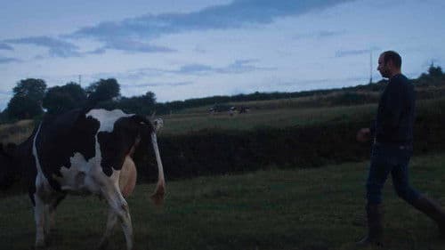 Un été à la ferme - L'âge d'or Bild 6