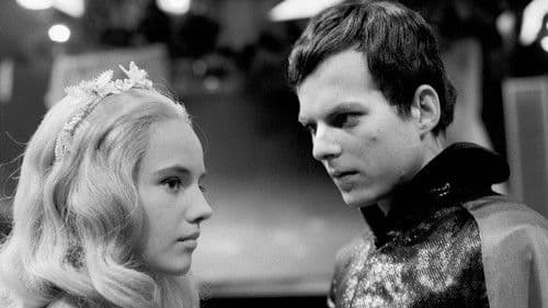 Malá mořská víla Bild 1