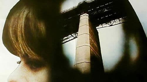 Zwischengleis Bild 1