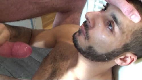 German Cumpigs 2 Bild 2