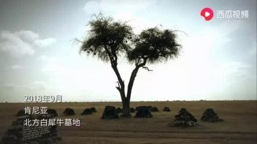 侣行·翻滚吧非洲 Bild 1