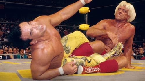 WCW Spring Stampede 1994 Bild 2