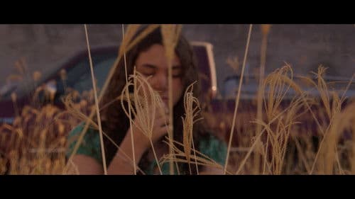 External Exchange Bild 4