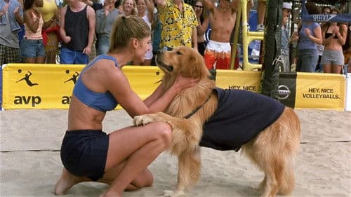 Air Bud 5 - Vier Pfoten schlagen auf Bild 2