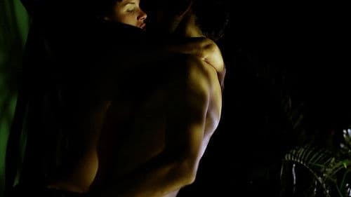 O Animal Sonhado Bild 2