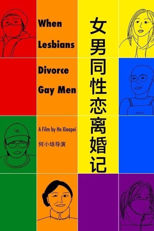 女男同性恋离婚记