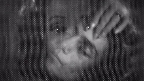 El niño y la niebla Bild 1