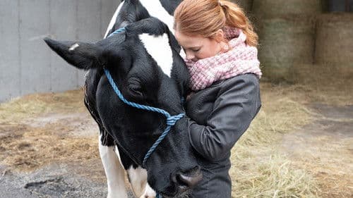 Christmas a la Mode - Der Geschmack von Weihnachten Bild 4