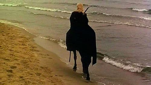 Geralt von Riva - Der Hexer Bild 4