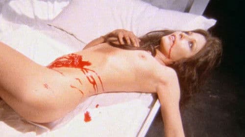 Die Farben der Nacht Bild 3