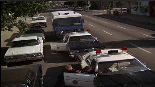 Die knallharten Fünf Bild 2